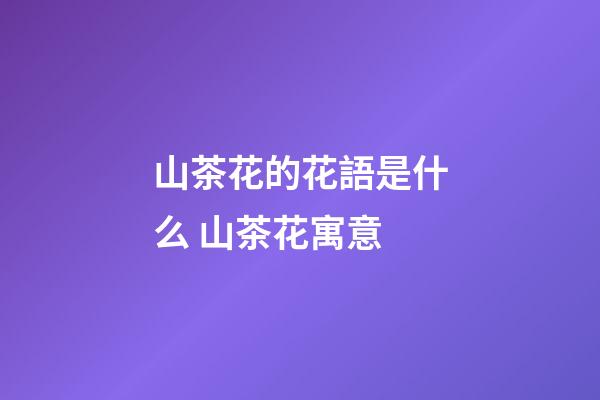 山茶花的花語是什么 山茶花寓意
